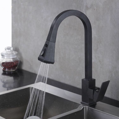 Hot sale Modern Pull out  Kitchen Faucet  Style Brass Surface Flexible Hose For Kitchen Faucet With Pull down Long Spout